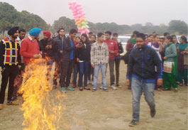 Lohri Celebrations 2014